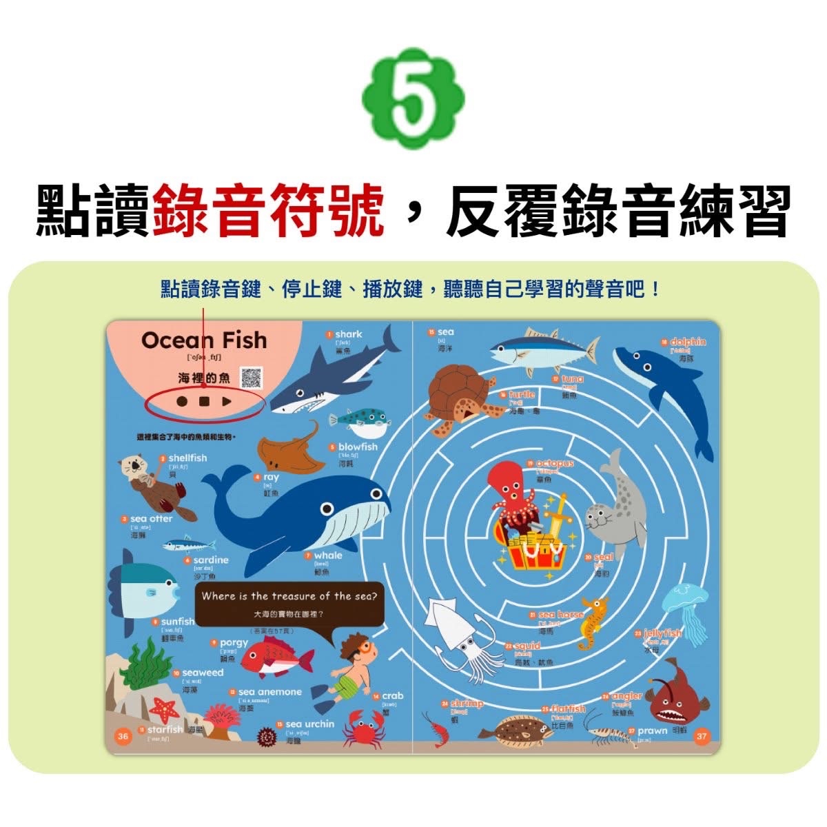 🔸預購貨品🔸 [小熊點讀系列] 英語單字圖鑑繪本：情境學習常用單字、片語和會話句型Best English Picture Book for Kids（全套5冊，附中英雙語QR code音檔）