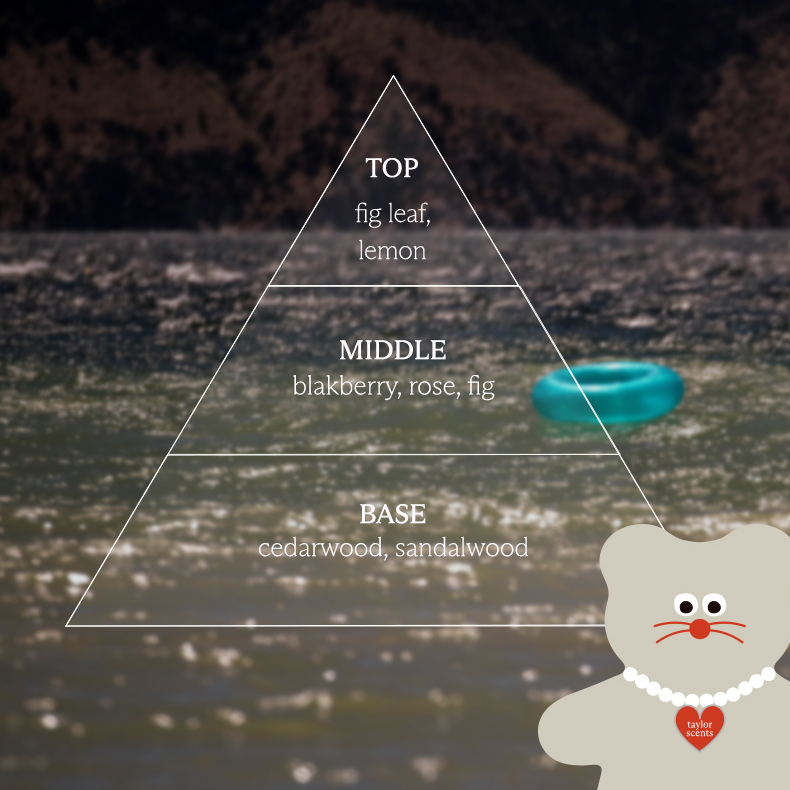 [taylor scents x MNH] 公仔匙扣及香水套裝 (3款)