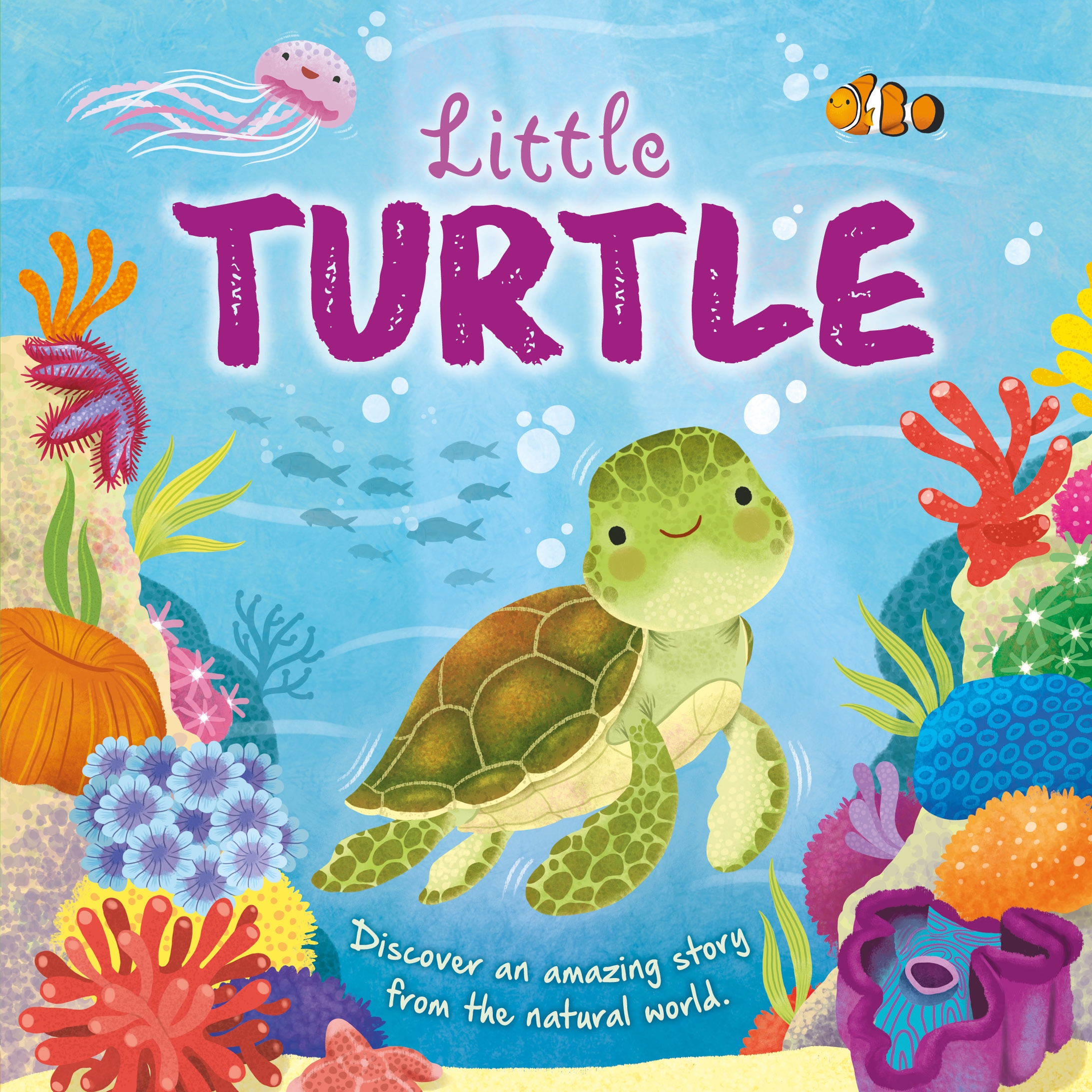 Igloo Books - Mini Story Book - Little Turtle