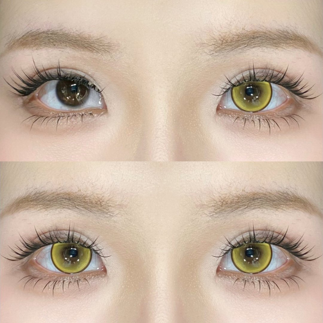 Dgugulens 日拋 波崽糕系列