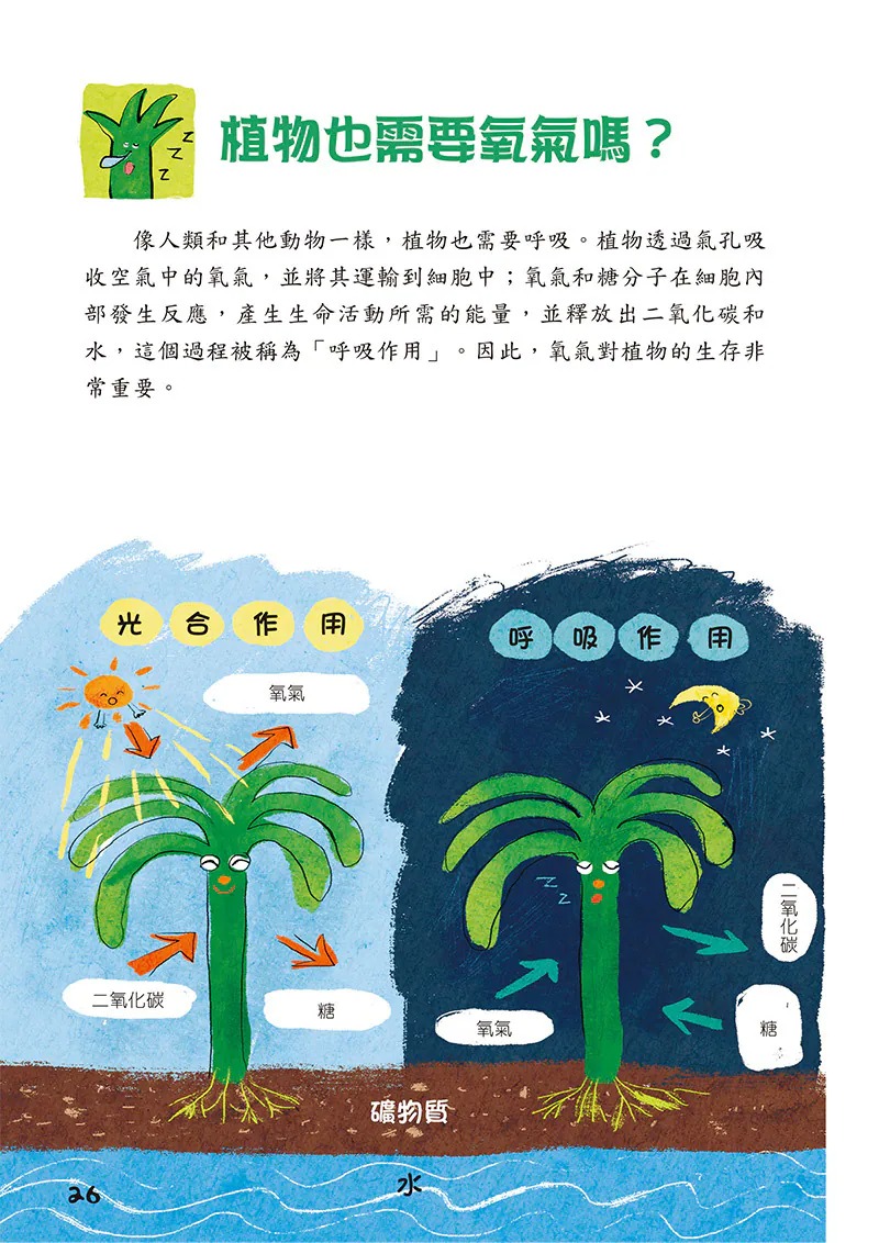 螢火蟲 兒童好奇心大百科（上+下）