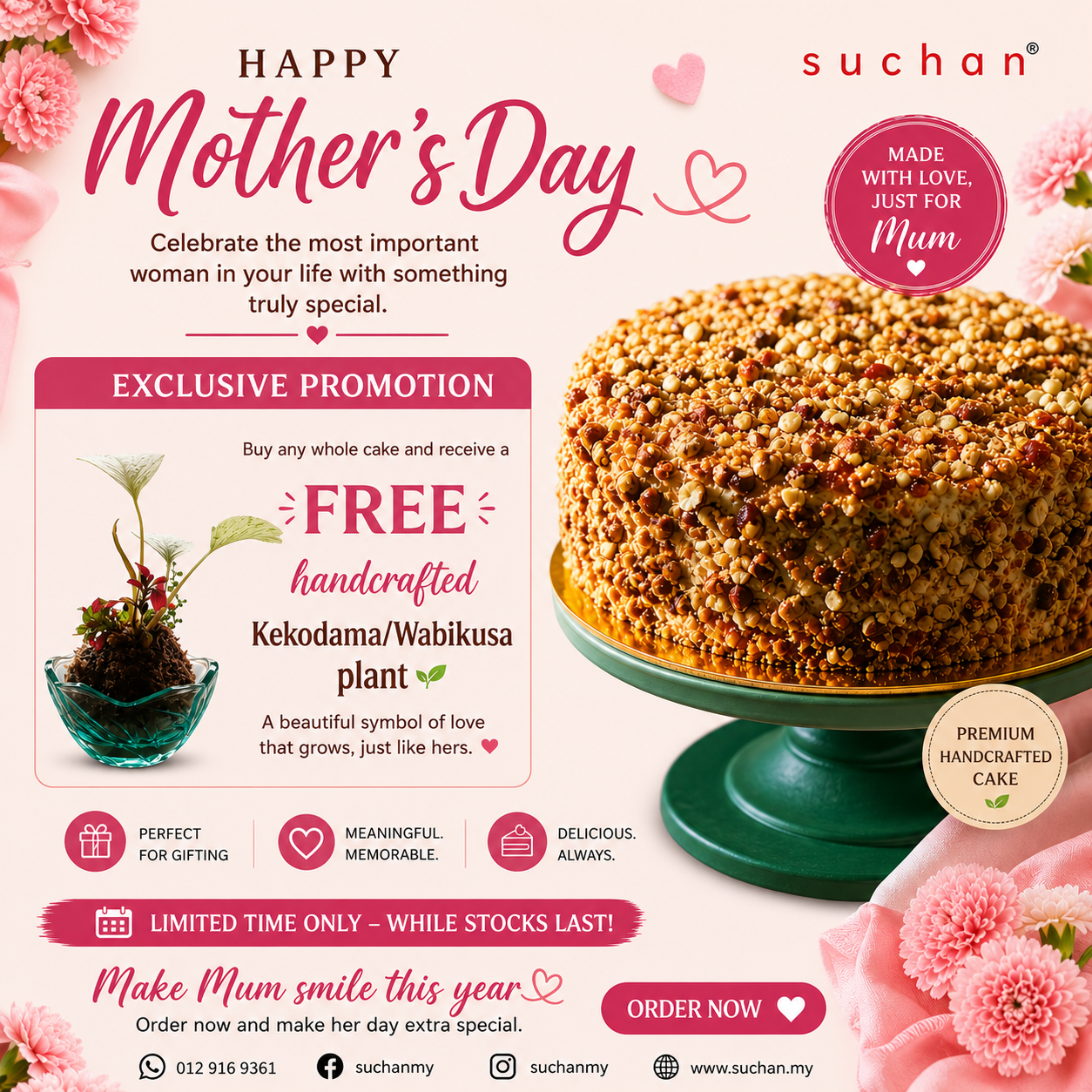 Mother's Day Promotion... FREE Kekodama/Wabikusa Plants and Cooler Bag... while stock last. Pre order 3 days