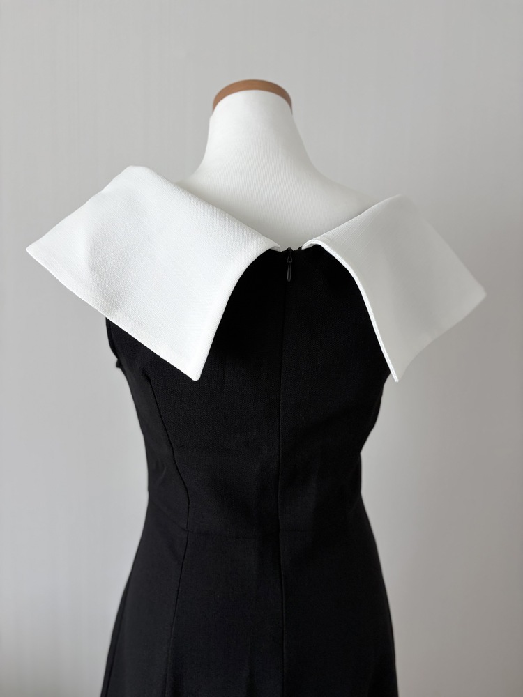 Celine Contrast Collar Dress