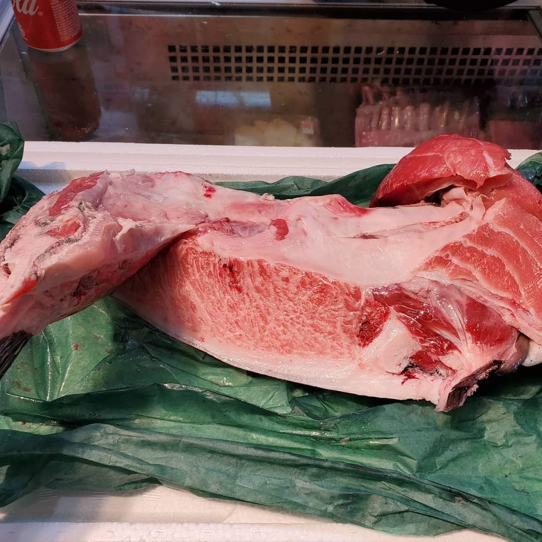 🇯🇵日本直送冰鮮藍鰭拖羅魚鮫🐟🍣🍶