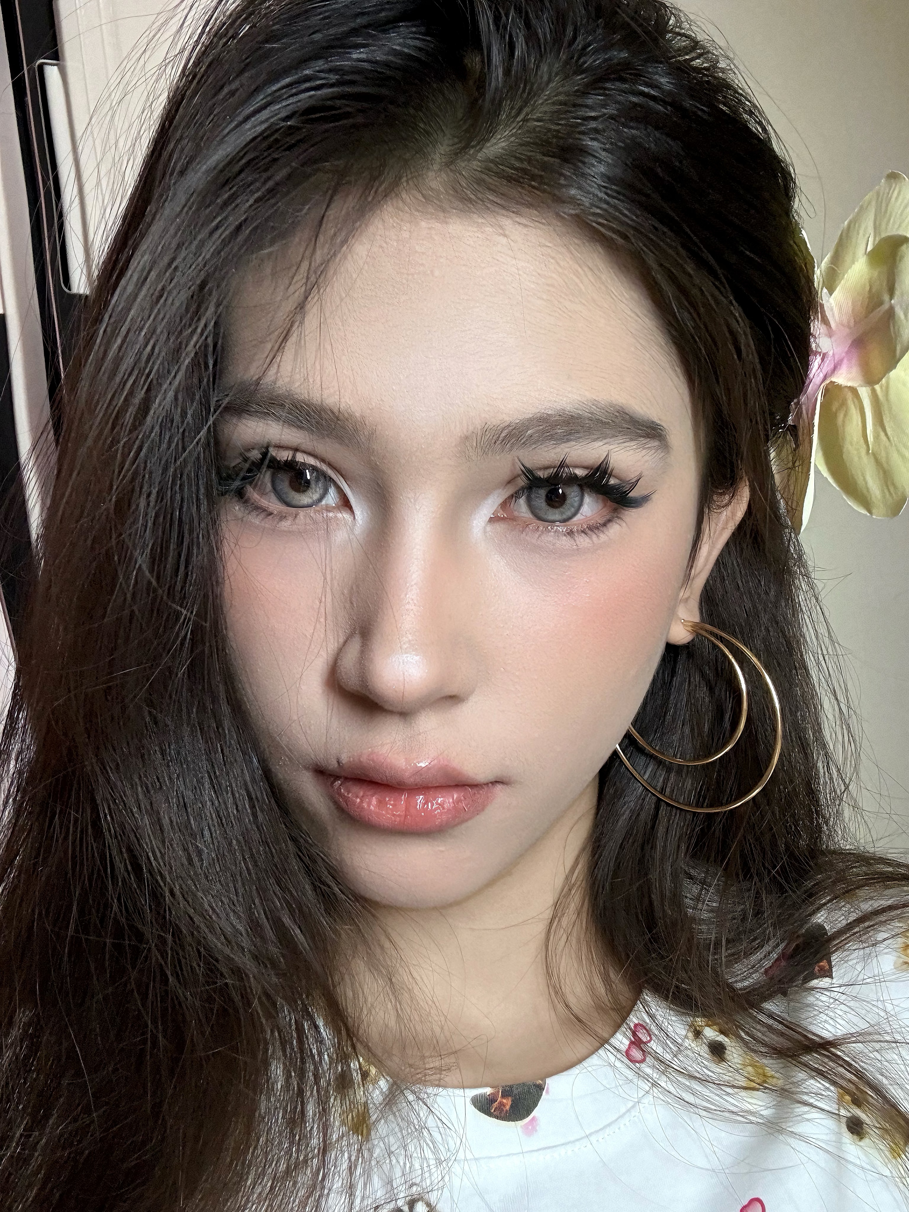 Serltyca 日拋6片裝 未知世界/香檳貓眼