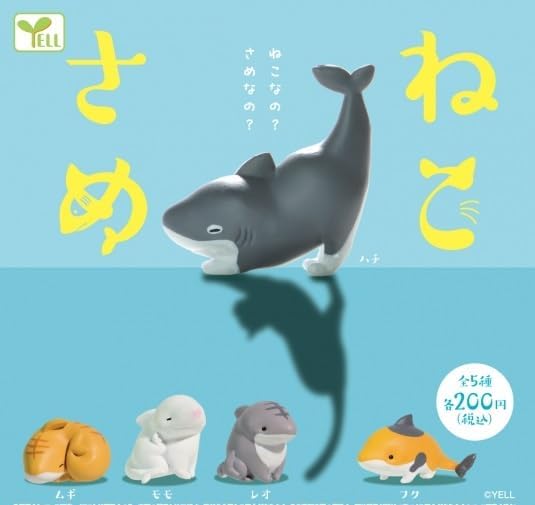  🇯🇵日版 YELL 真 貓鯊魚 鯊魚貓 扭蛋 1套5款