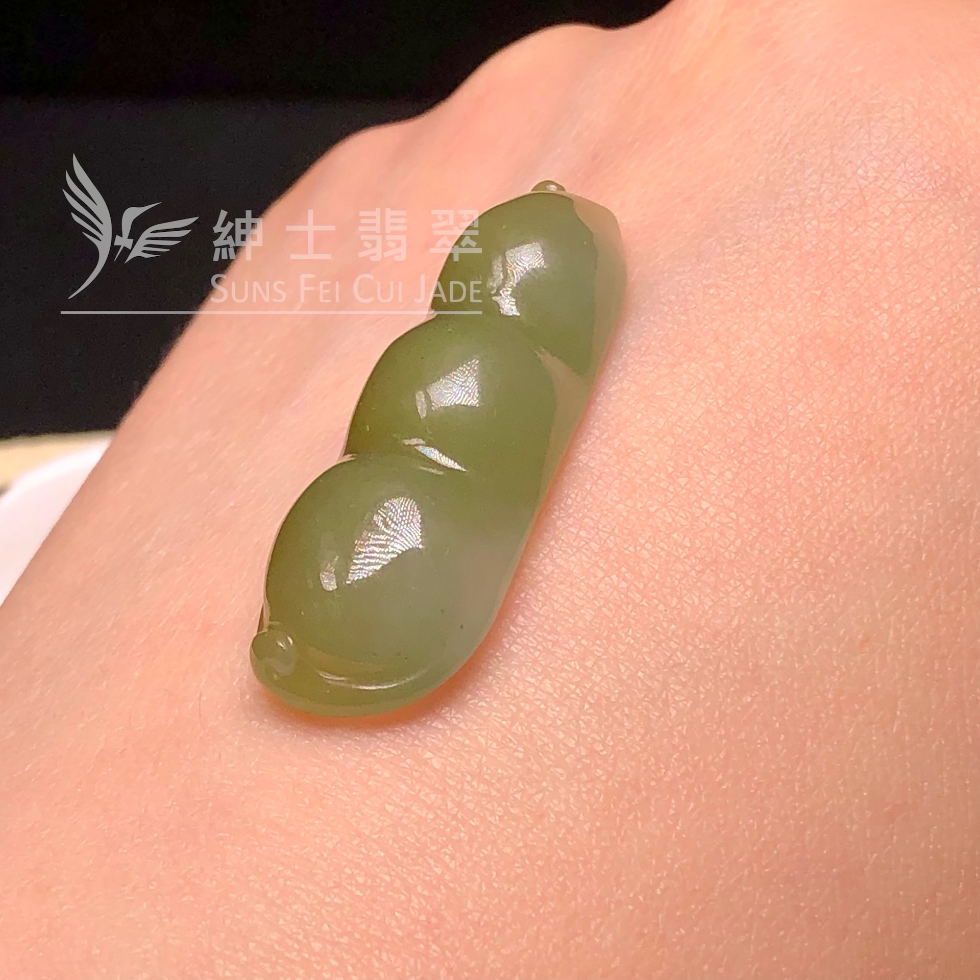 YK01126 黃加綠福豆