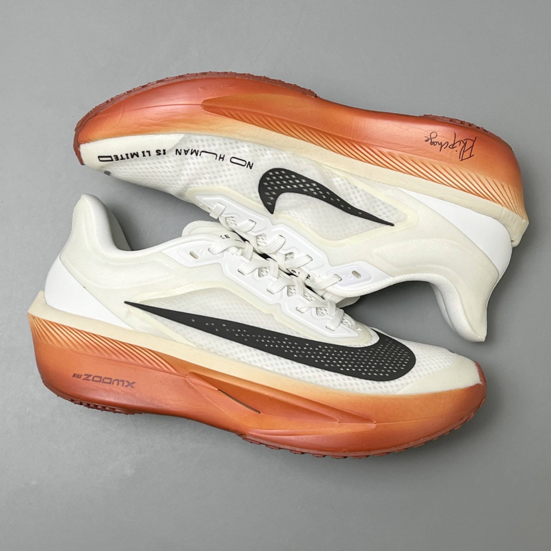 Nike Zoom Fly 6 HJ7038-100