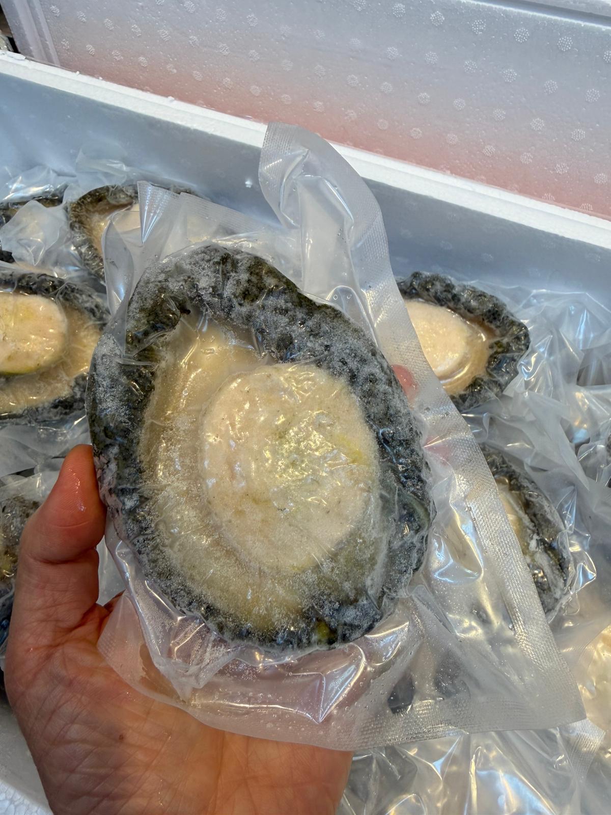 急凍野生南非鮑