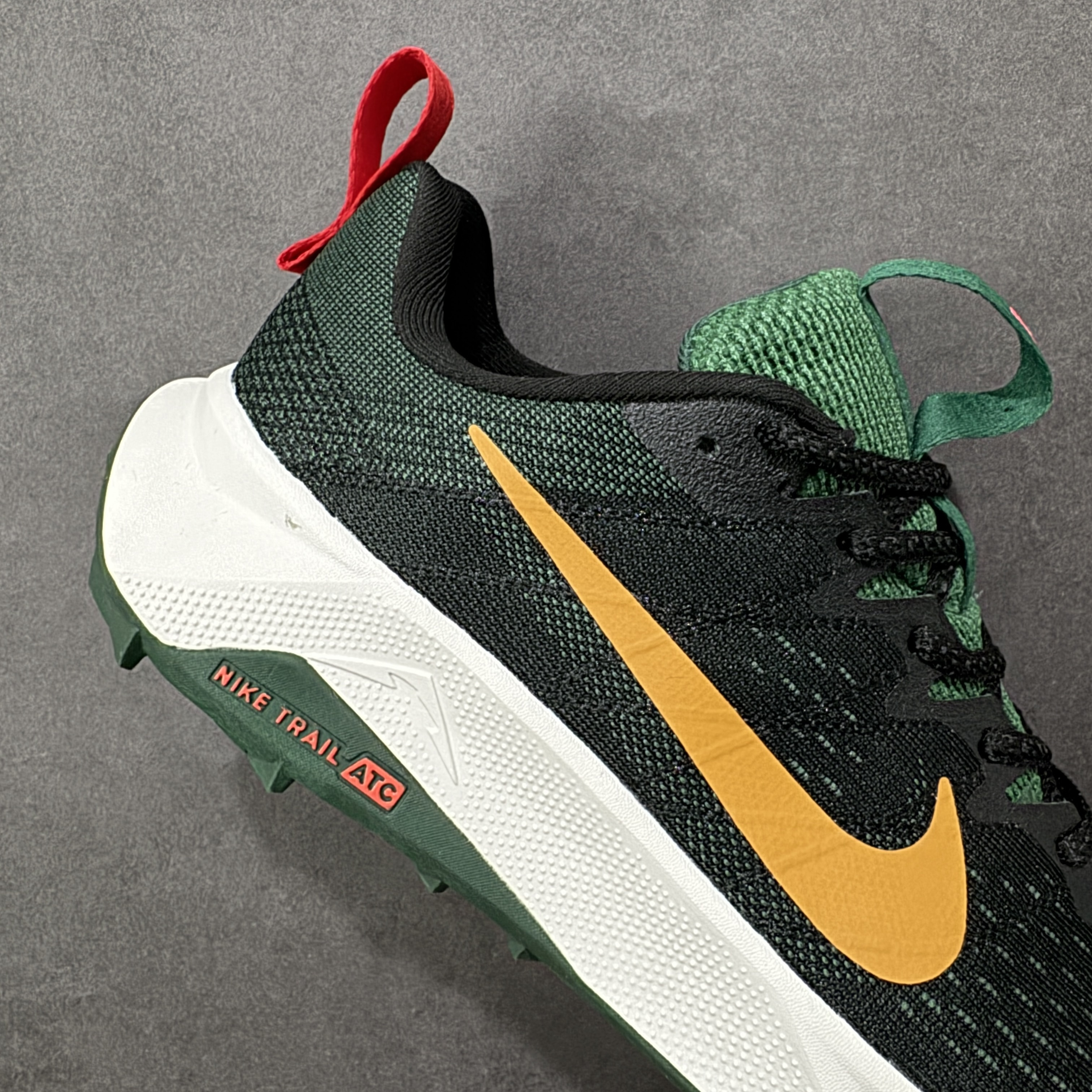 Nike Wildhorse 10 FV2338-005