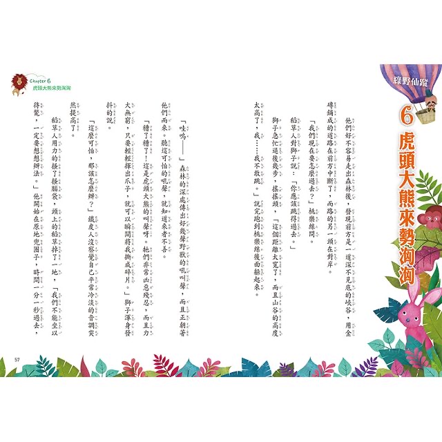 🔸預購貨品🔸綠野仙蹤