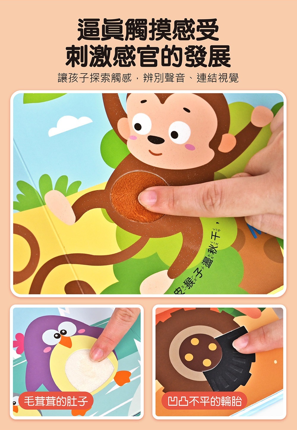 觸摸有聲書：這是什麼聲音？樂器