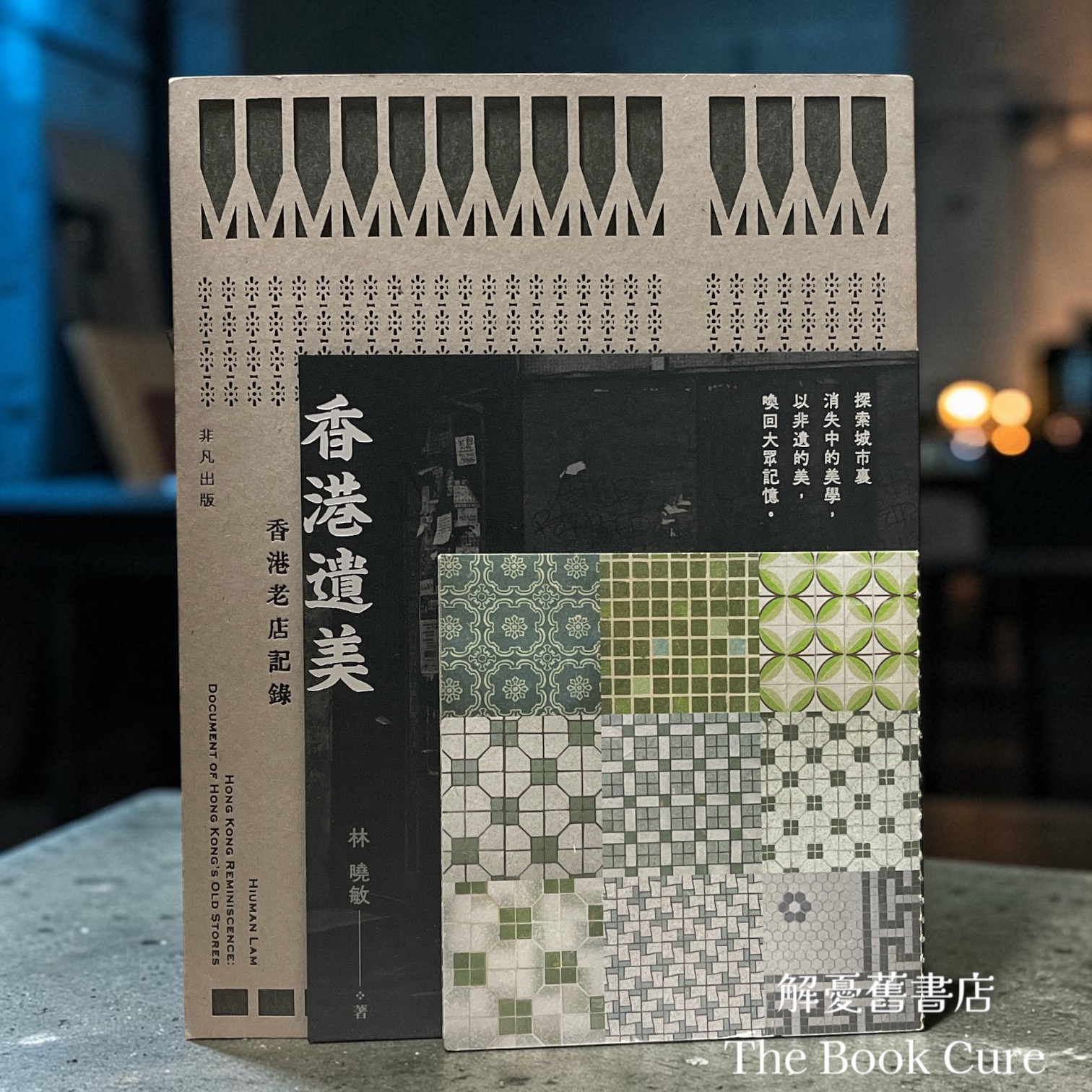 香港遺美：香港老店記錄 / 林曉敏 著