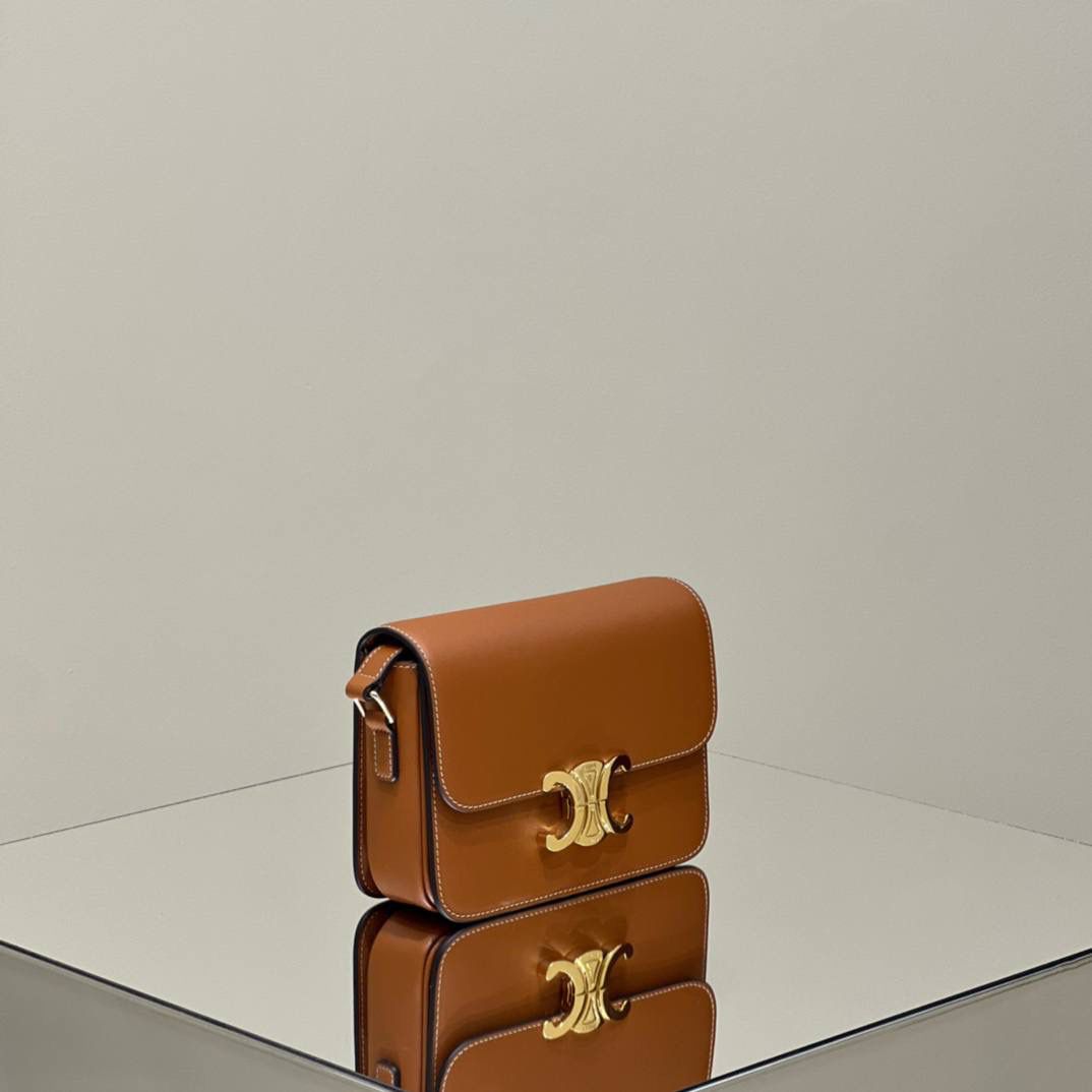 🔥大货实拍图 𝗖𝗘𝗟𝗜𝗡𝗘 ♥ 𝗧𝗘𝗘𝗡 𝗧𝗥𝗜𝗢𝗠𝗣𝗛𝗘 型号：188423 中号尺寸：22.5*16*7cm 小号尺寸：18.5*14*6cm