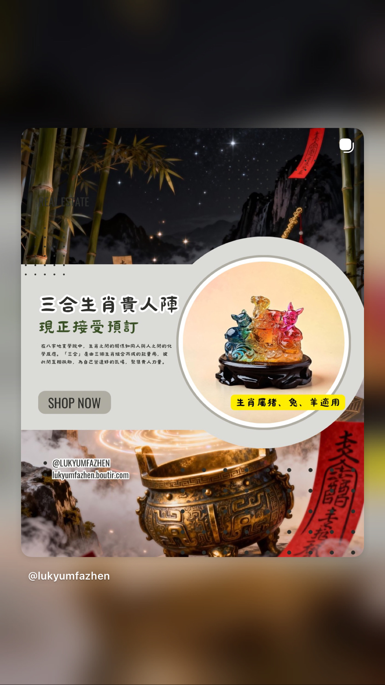 ［預訂］🔮☯️三合生肖貴人陣☯️🔮