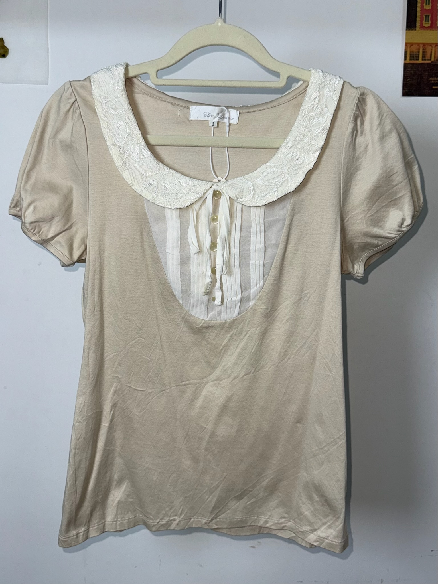 Vintage Lace Collar Pleated Inset Puff Sleeve Top