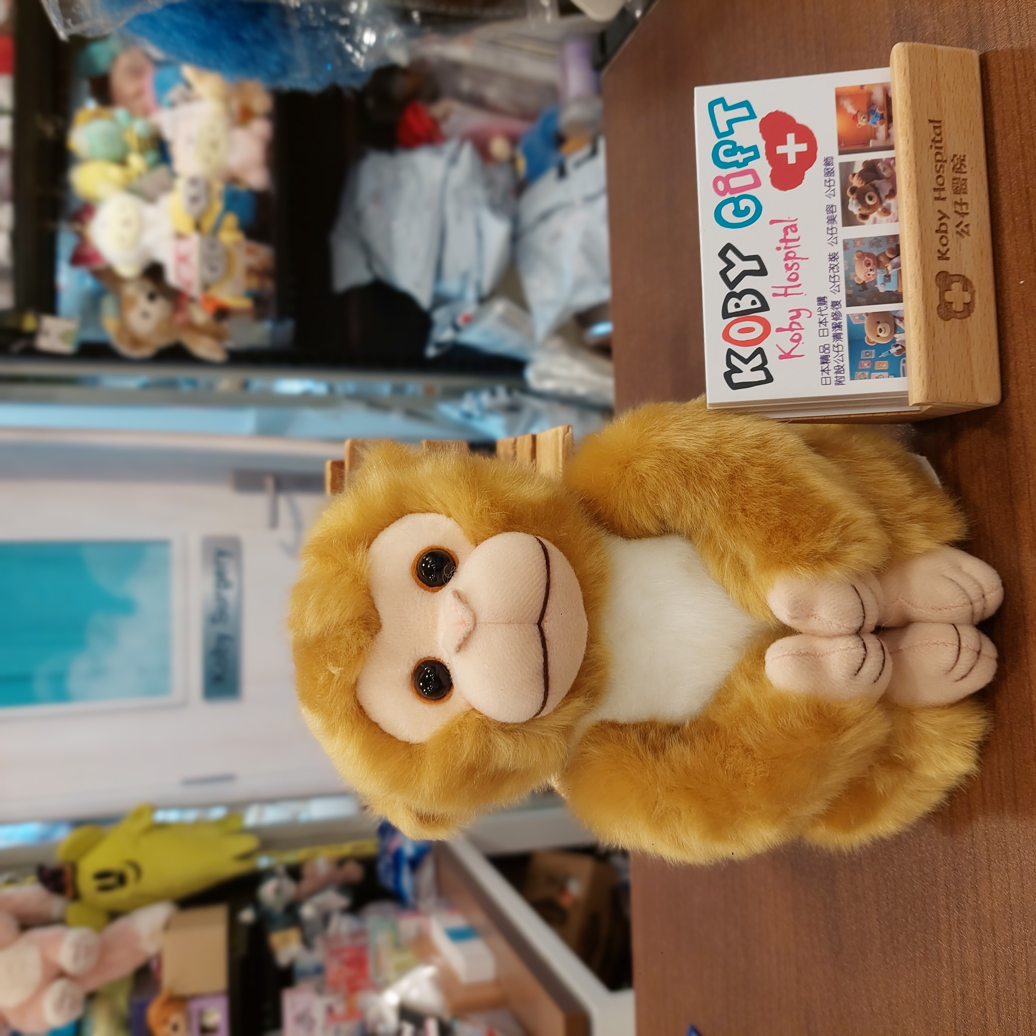 日本 市川動物園  馬騮仔  手仔腳仔都附有磁石 限定款 punchi 君 吊飾, S, M, L 四個 Size 選