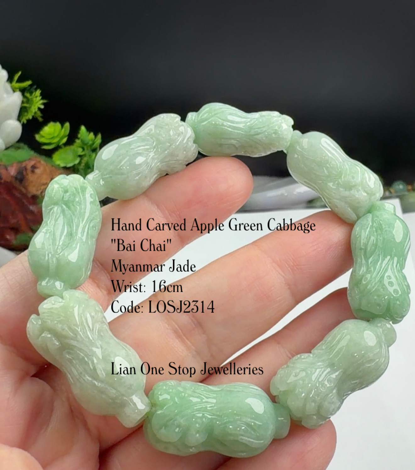 Code: LOSJ2314 Hand Carved Apple Green Cabbage "Bai Chai" Myanmar Jade