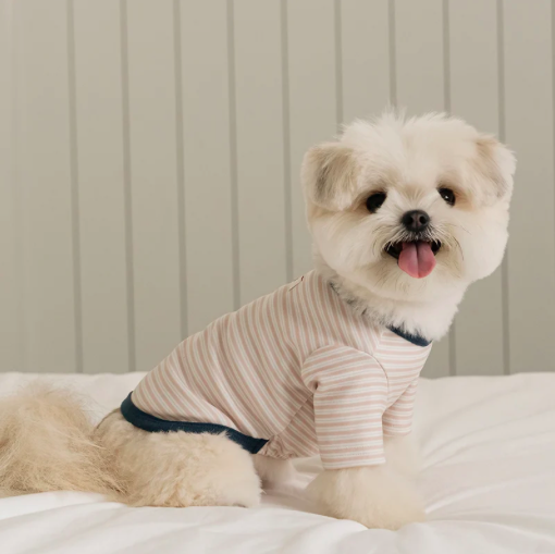Bite Me🇰🇷SSFW Mellow Stripe T-Shirt 柔和條紋四季打底衫 (3色)