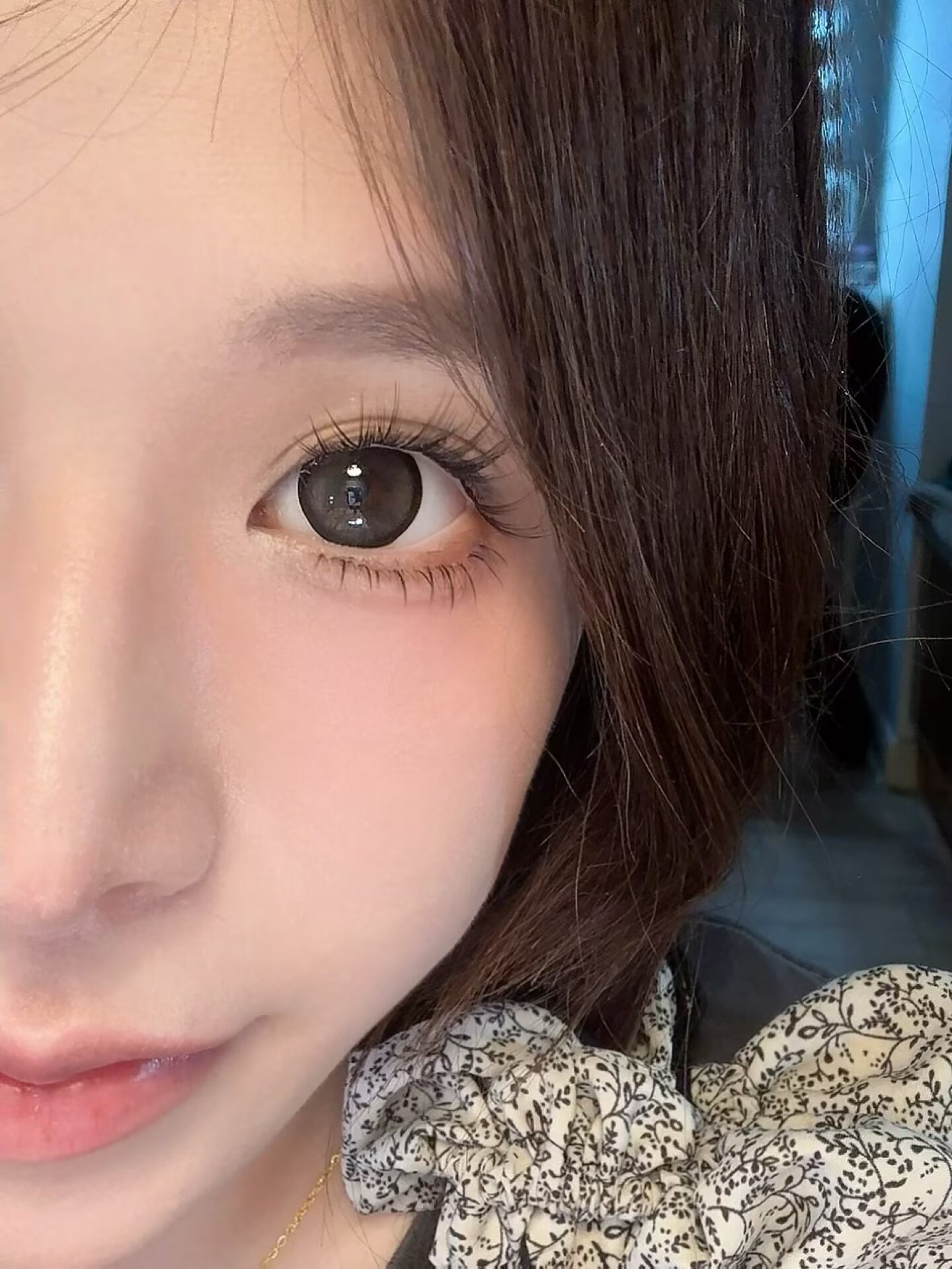 Macycon 月拋 芝士小狗/可愛比熊/萌萌貴賓