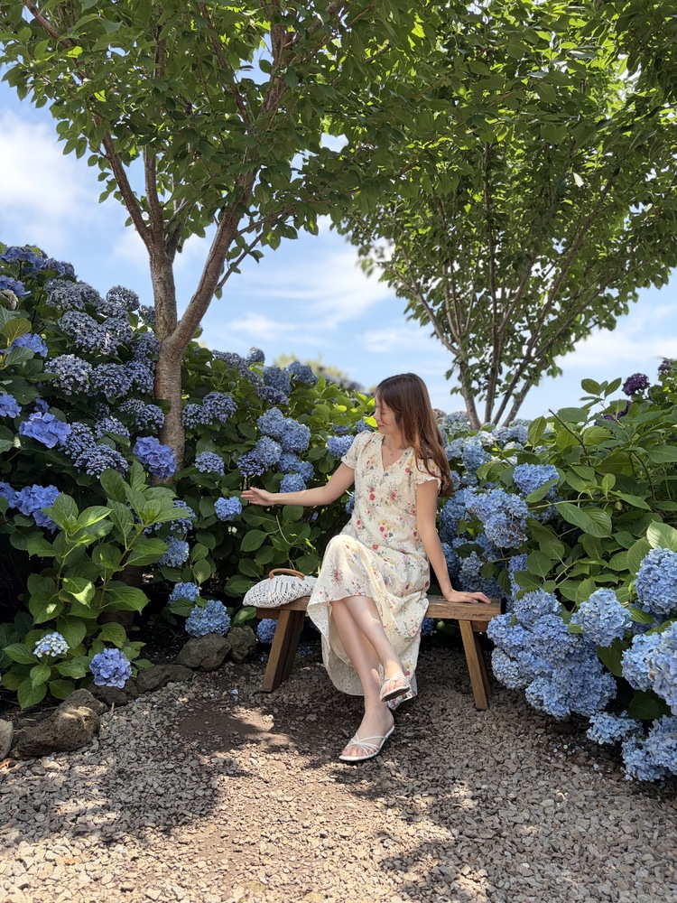 Premium Embroidered Floral Dress