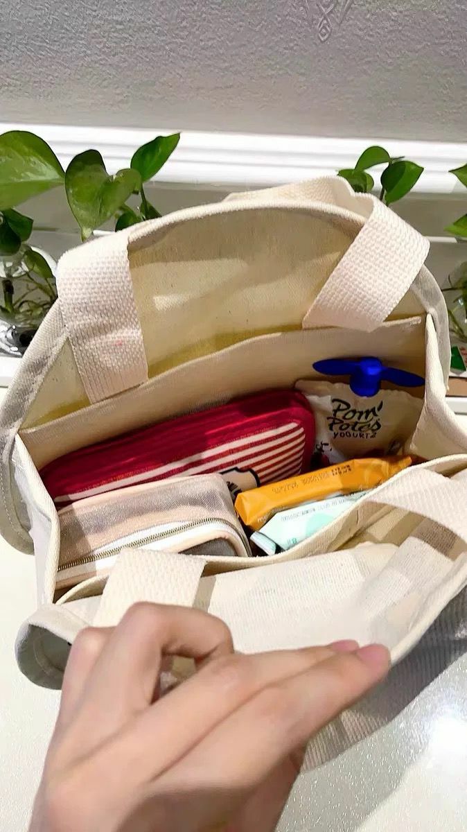 迪士尼大鼻鋼牙 ChipnDale帆布手提袋 - 現貨