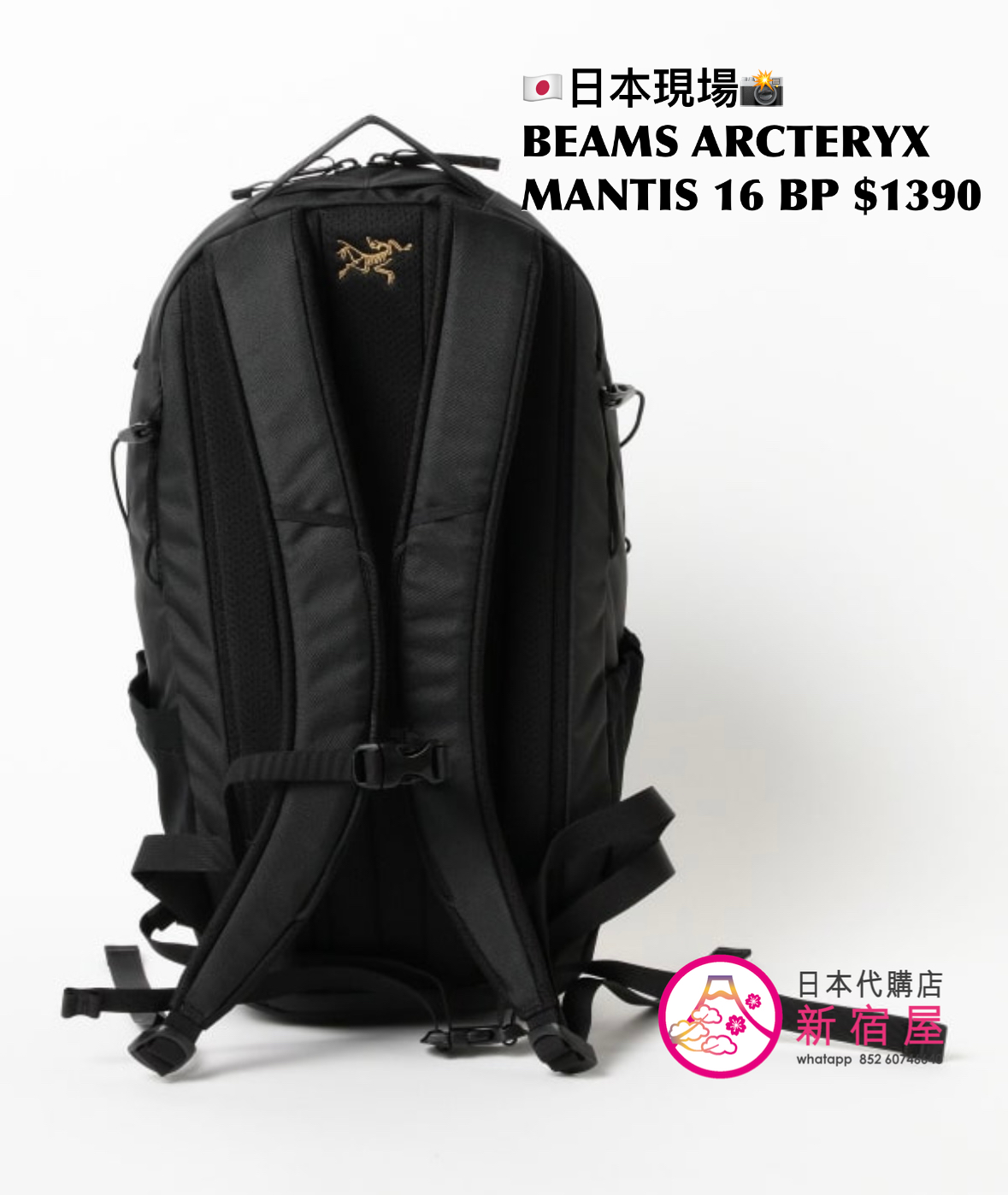BEAMS ARCTERYX MANTIS 16 BACKPACK