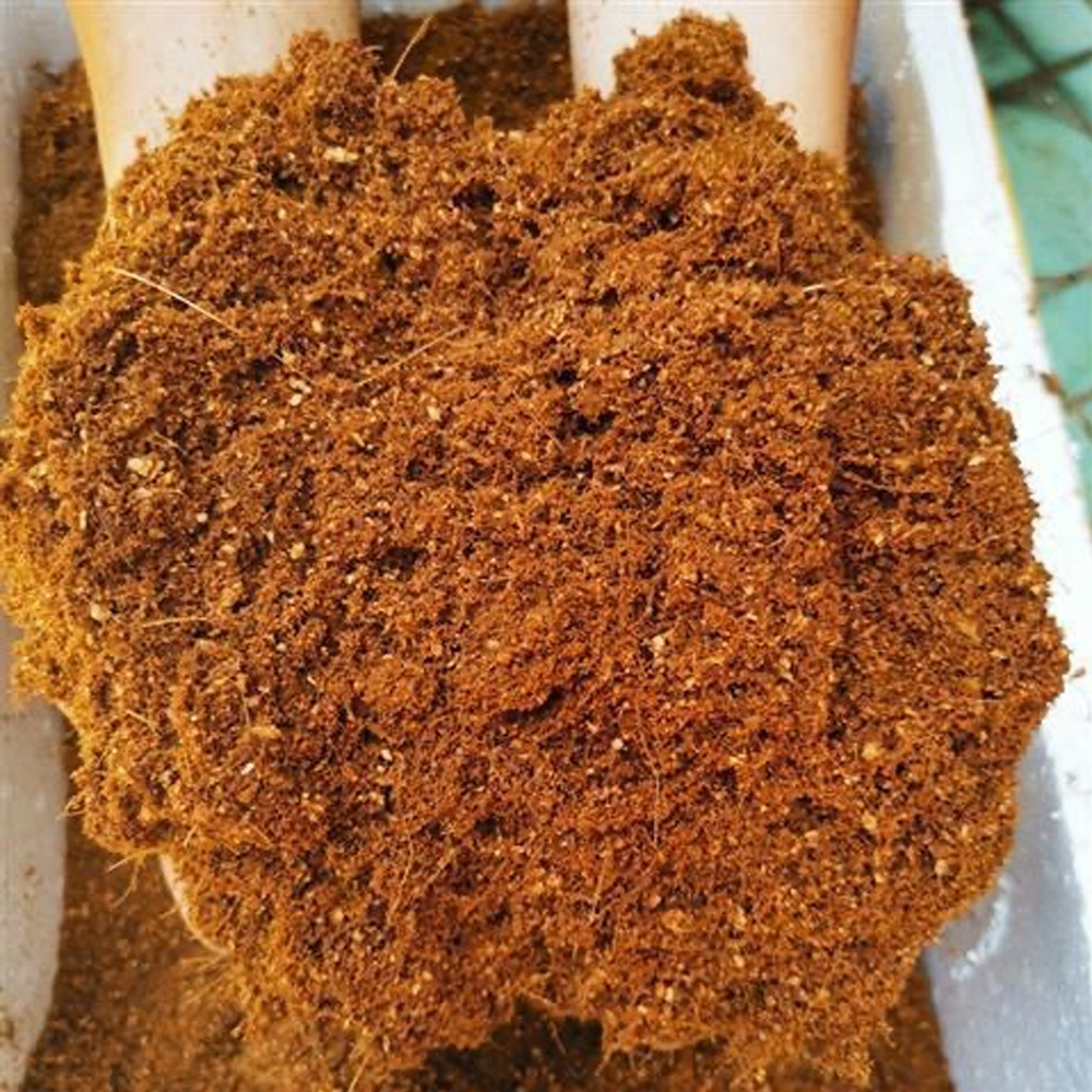 椰磚營養土 有機養花 蔬菜 多肉 壓縮椰粉磚 園藝栽培 椰糠 [平行進口] HK2740