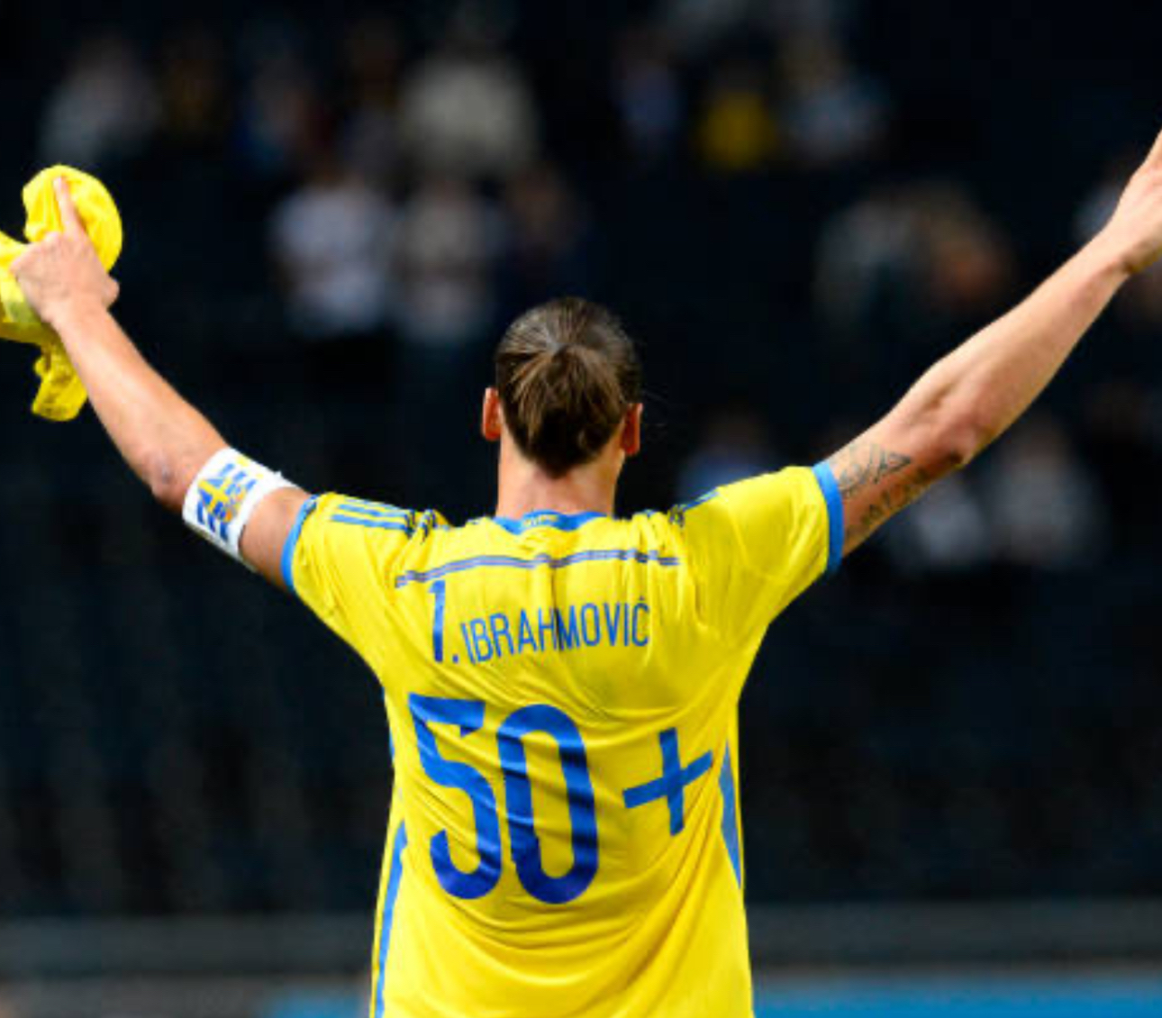 Sweden 14/15 Ibrahimovic 50+ special shirt