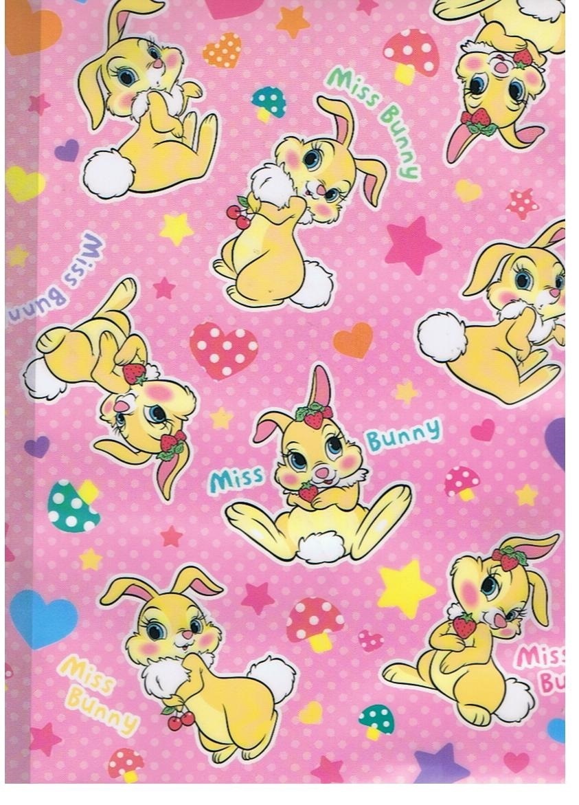 Miss Bunny 10頁資料冊 (S2144514/1)