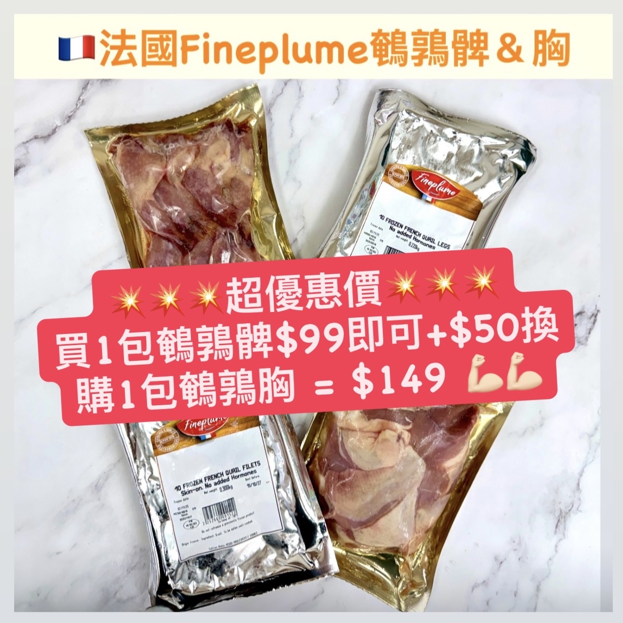 法國Fineplume鵪鶉