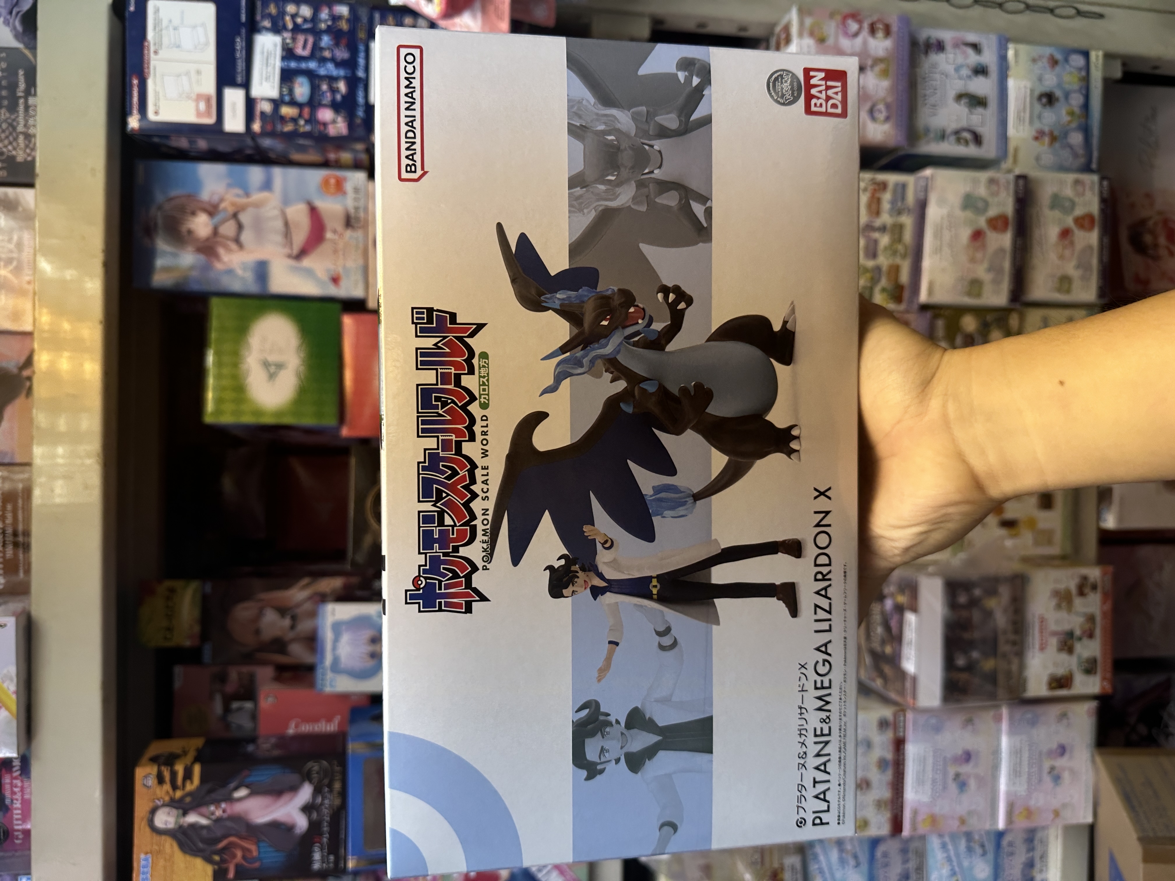 現貨 Bandai 食玩 Pokemon Scale World 卡洛斯地區 布拉塔諾 Mega 噴火龍 套裝
