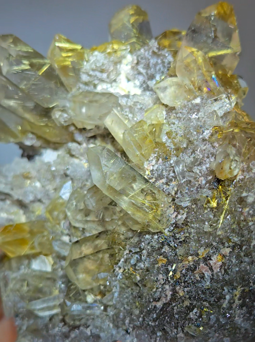 High-grade golden starburst rutiles on black hematite in quartz - RT1434