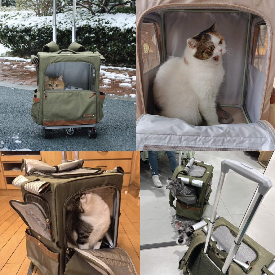 外出透氣便攜大容量拉車