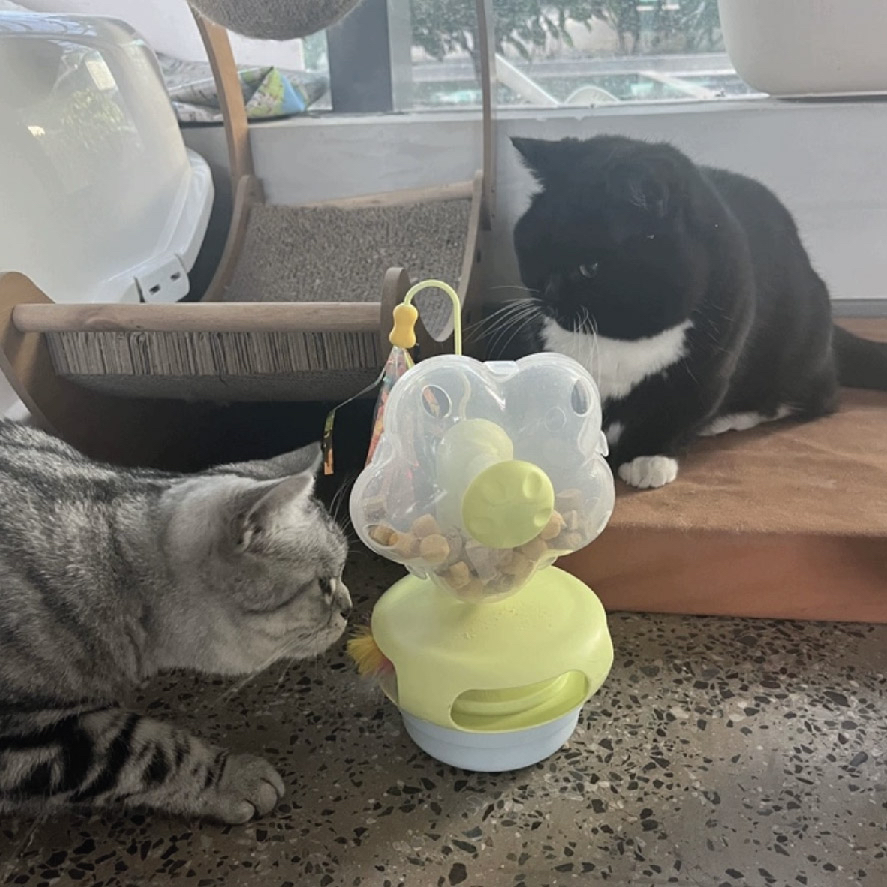 電動漏食羽毛逗貓玩具
