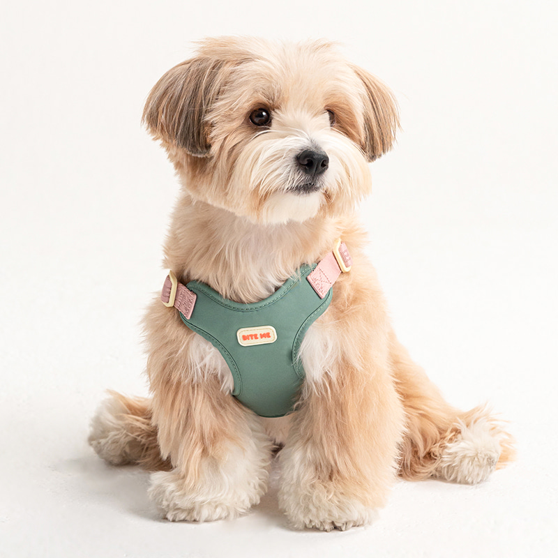 *預購 BiteMe🇰🇷 Comfort Harness v2