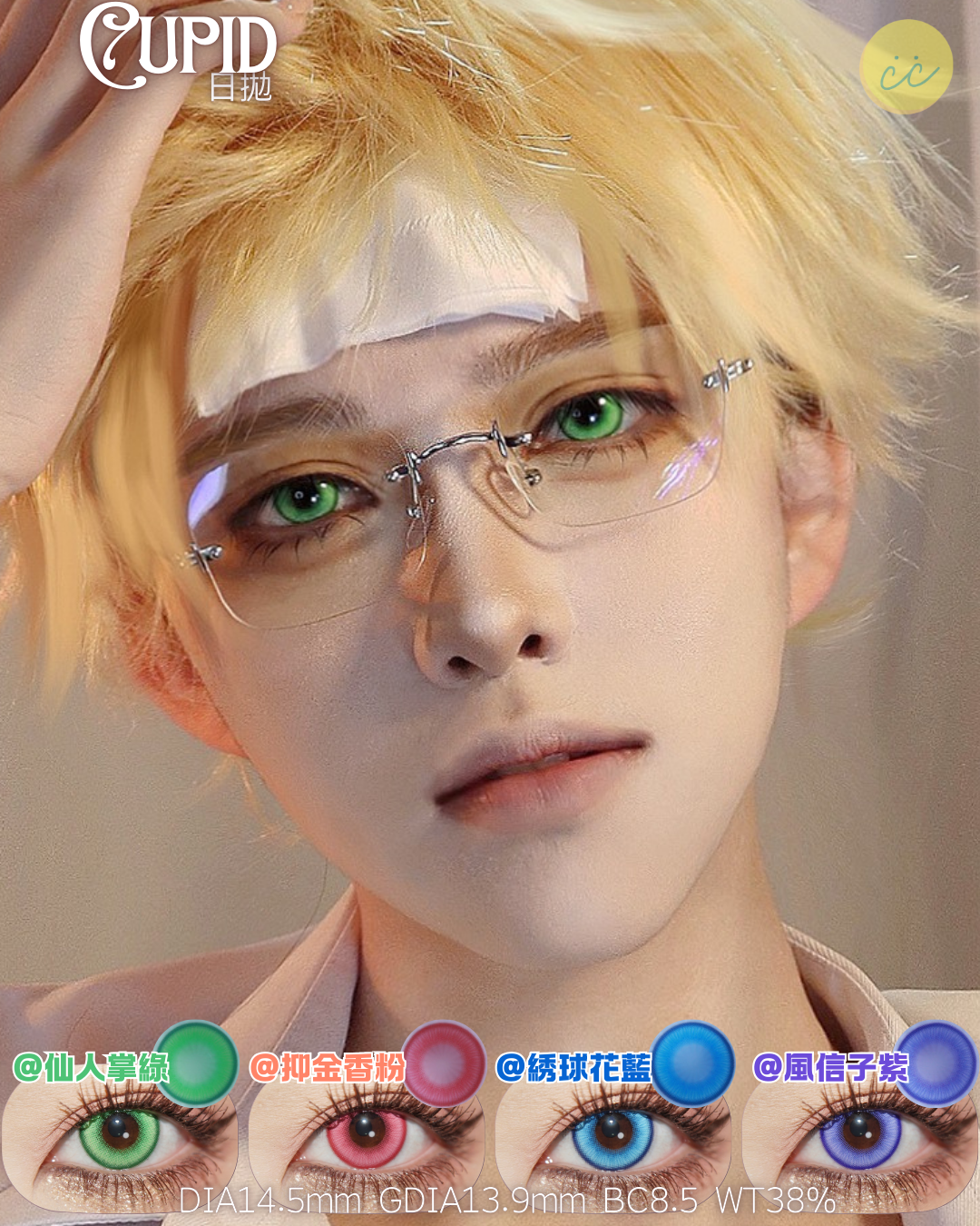 Cupid 日拋 系列  仙人掌綠/鬱金花粉/繡球花藍/風信子