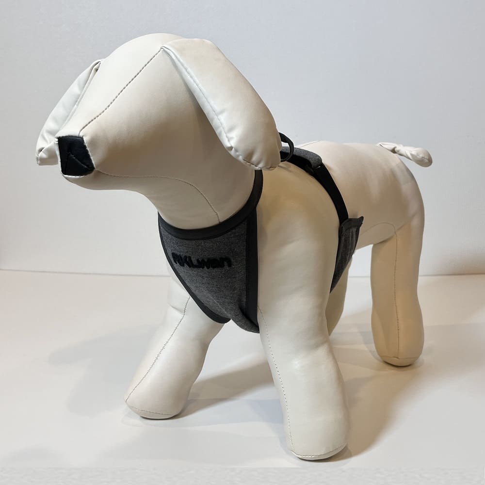 日本 RKLwan 狗狗 促進血液循環 延長壽命護理輔助用品 SPAORE成分 平行進口