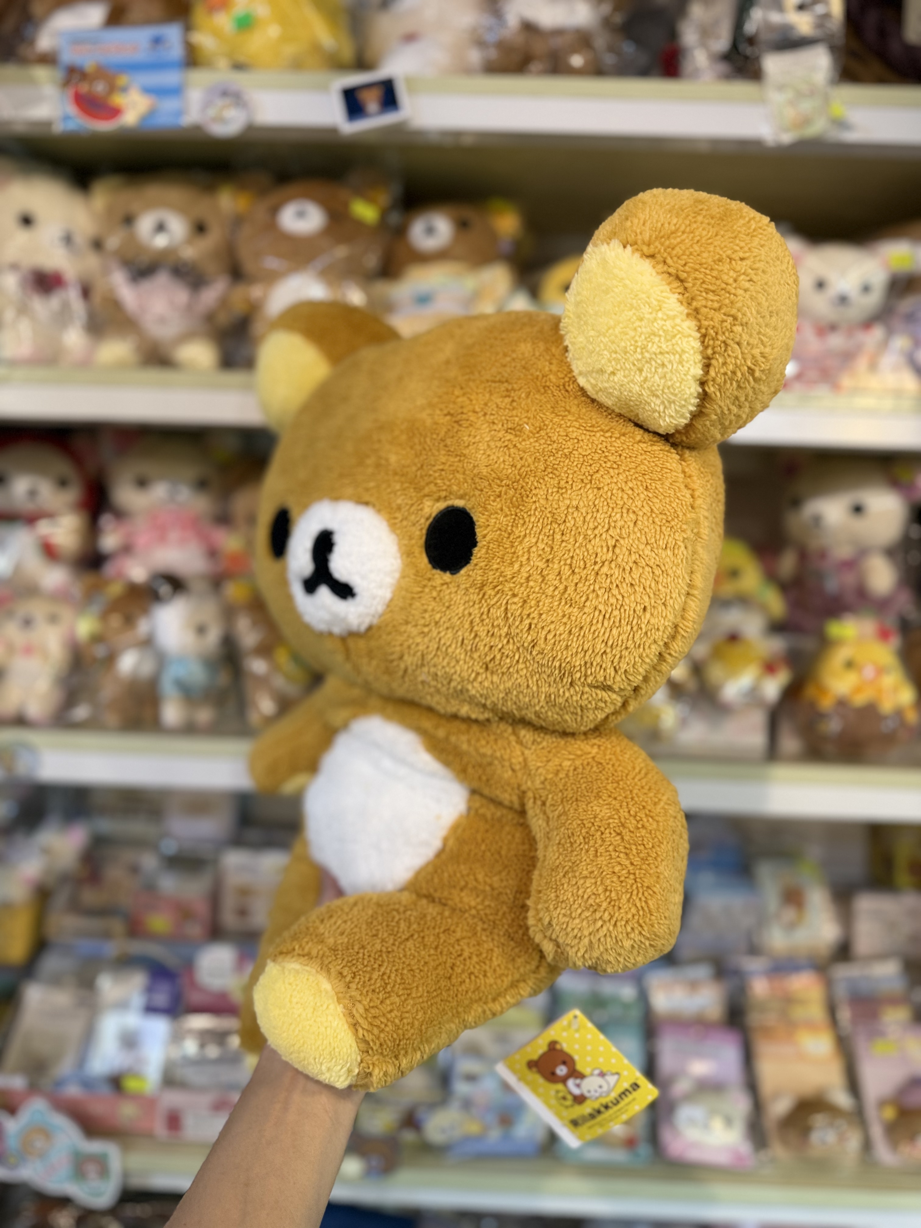 《現貨》全新日本景品Rilakkuma 鬆毛公仔