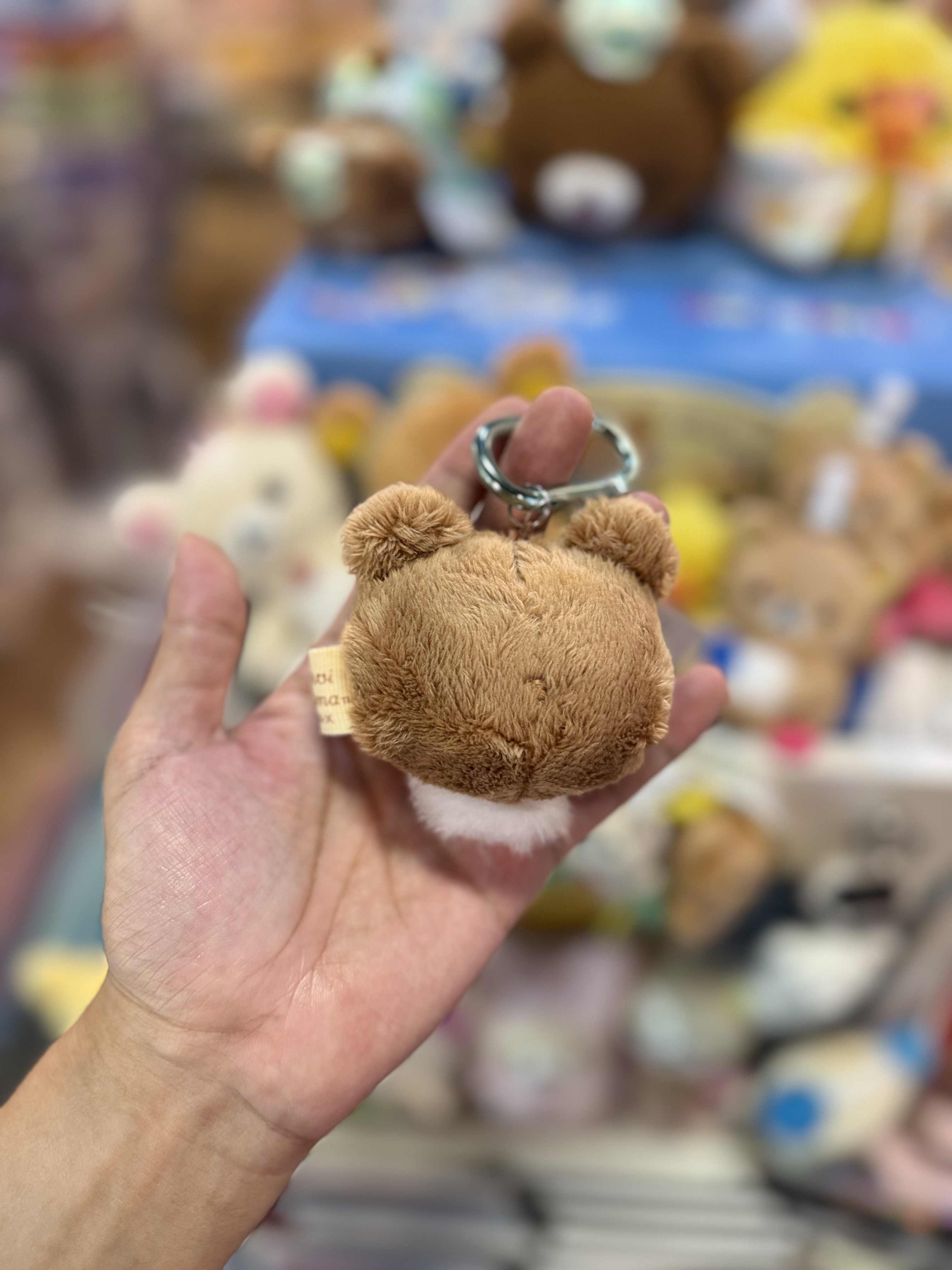 《現貨》全新日本專店限定小熊10週年小熊露牙掛飾