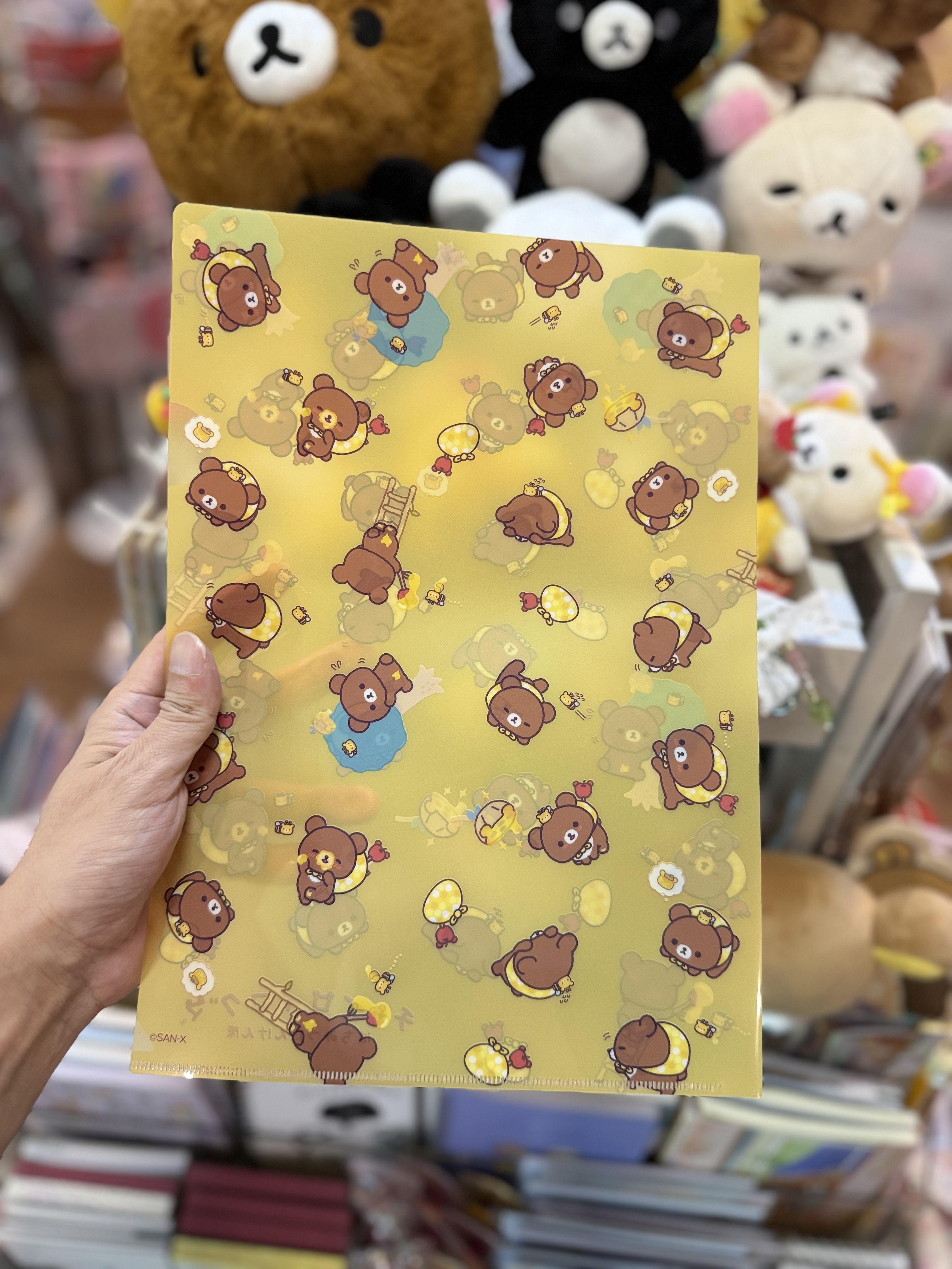 《現貨》全新日本小熊10週年紀念巡迴pop up店限定小熊探險隊系列對裝file