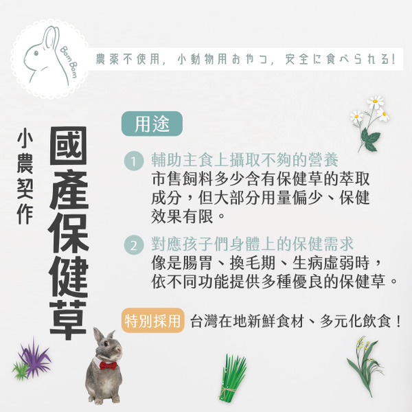 台灣BomBom尋寶趣 國產羽衣甘藍 - 9g