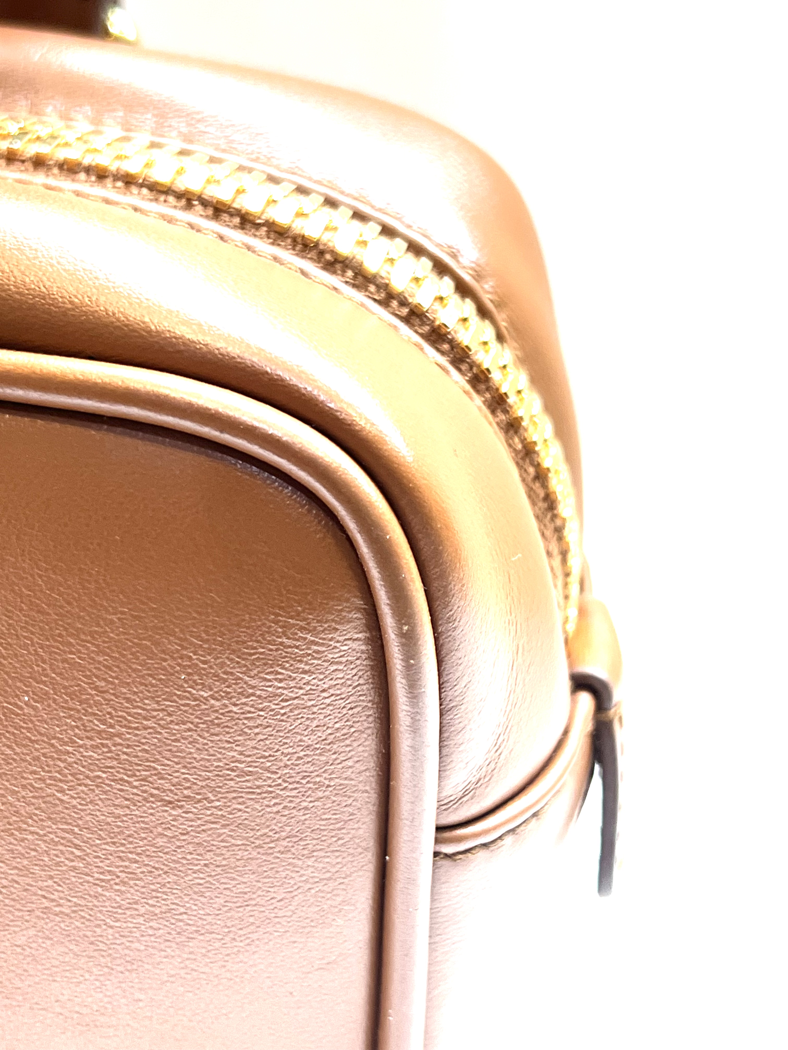 Pre-Owned Miu Miu Arcadie leather handbag / Product Code: 26041641