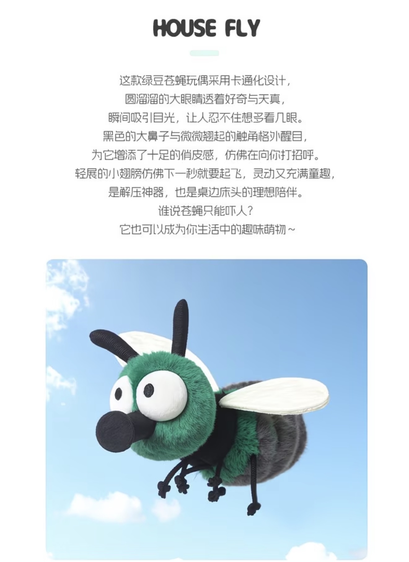 Mung Bean Fly 