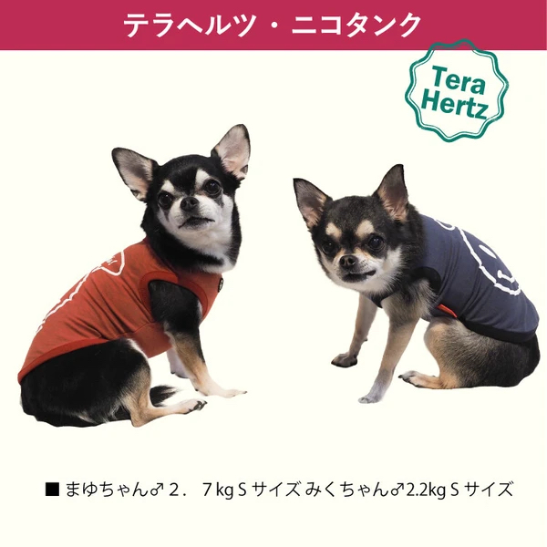 日本製🇯🇵 毛孩照護與保養犬服 團購優惠開跑
