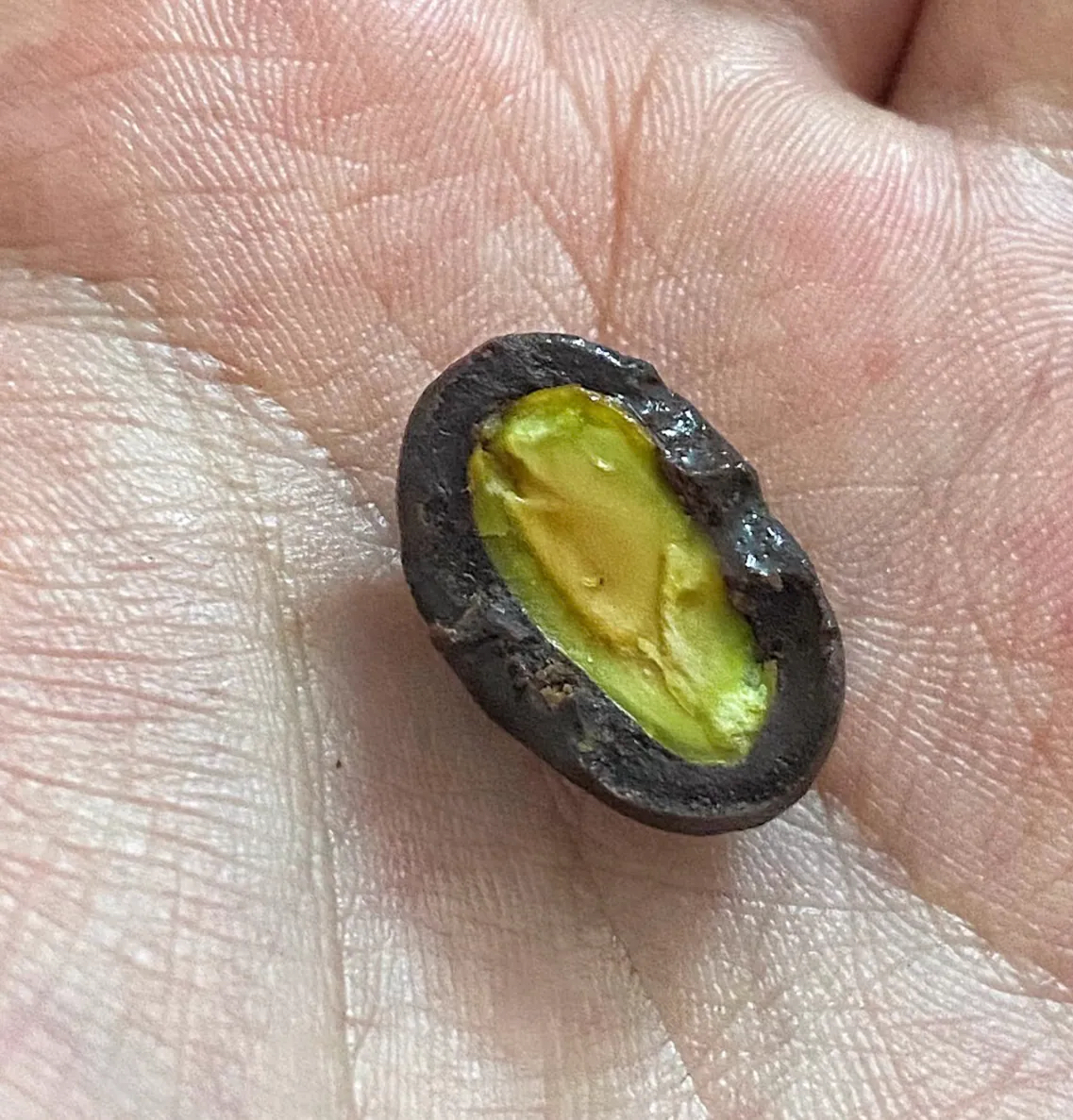 美國直送 現貨 Trader Joe's  黑開心果朱古力 170g