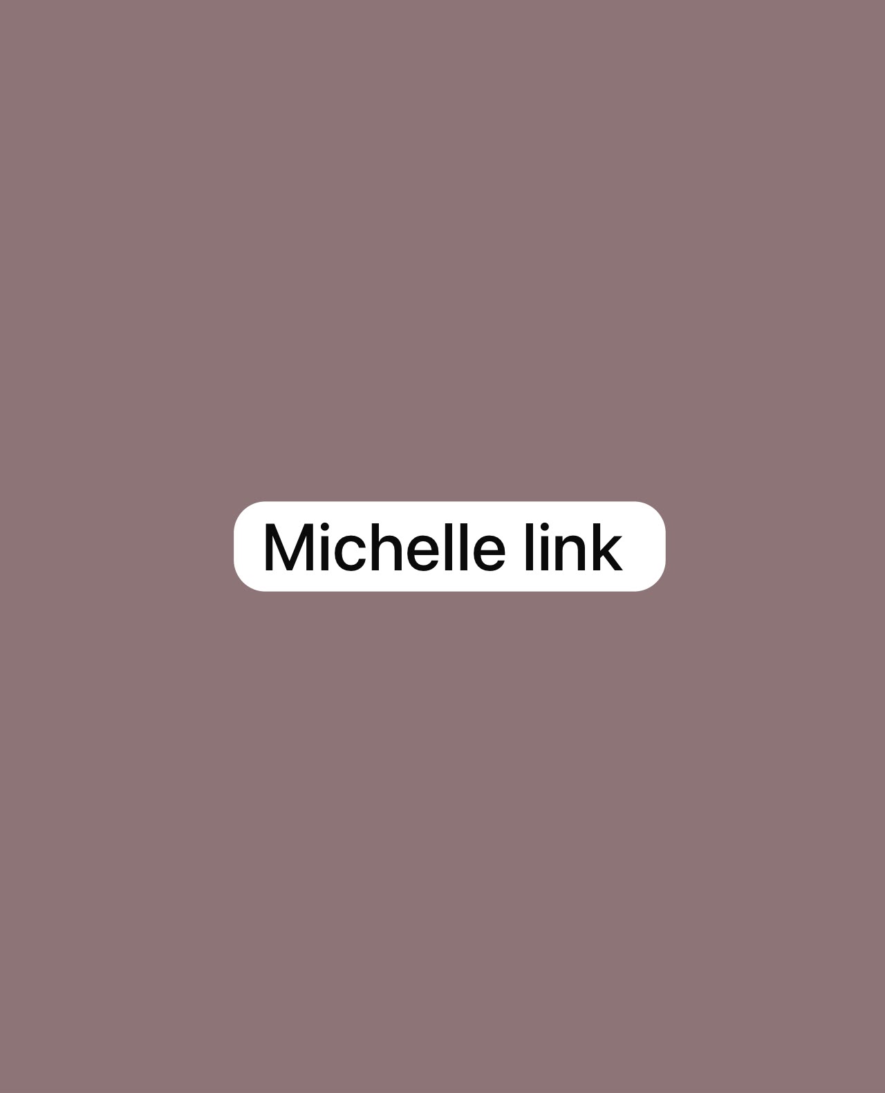 Michelle link 品牌識別宣傳文字標籤貼紙裝飾