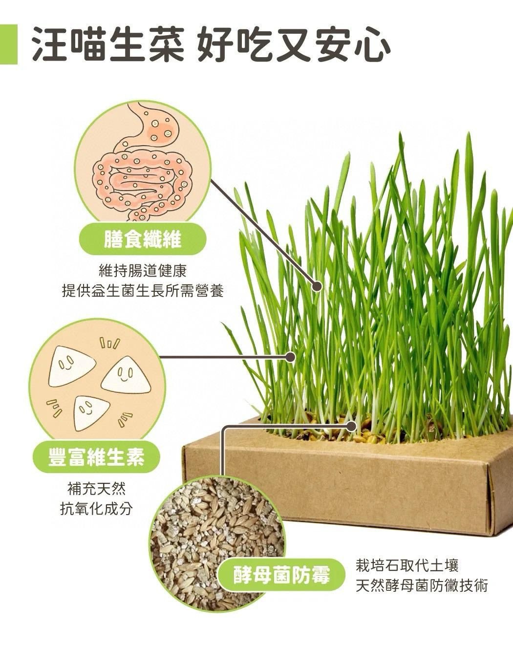 汪喵星球 貓草新鮮栽培盒-貓咪生菜(一套3盒）