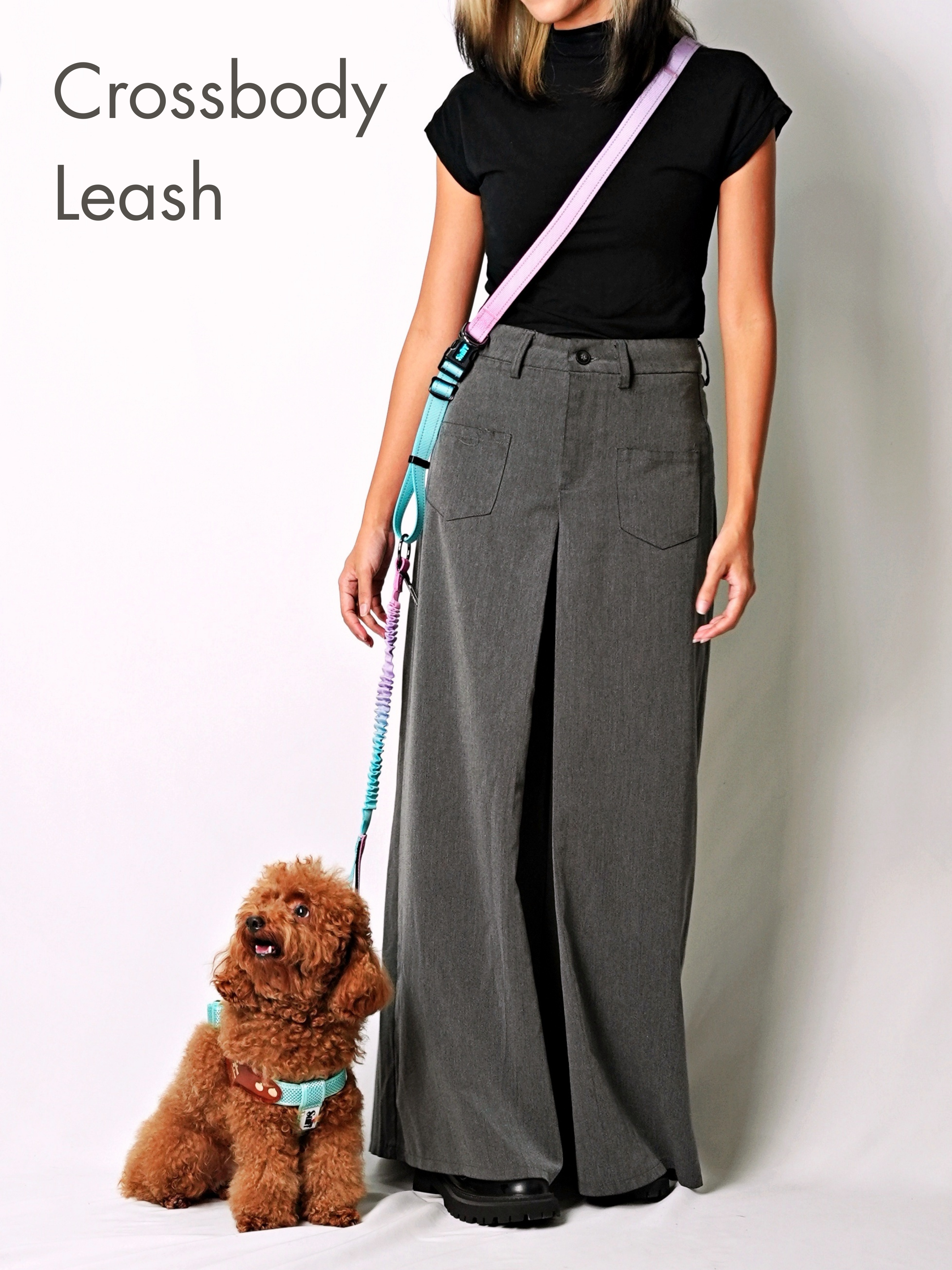 Hands Free Multifunction Leash with Poop Bag - Cotton Candy 