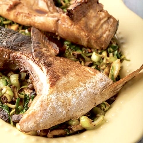 日本油甘魚鮫（2隻）